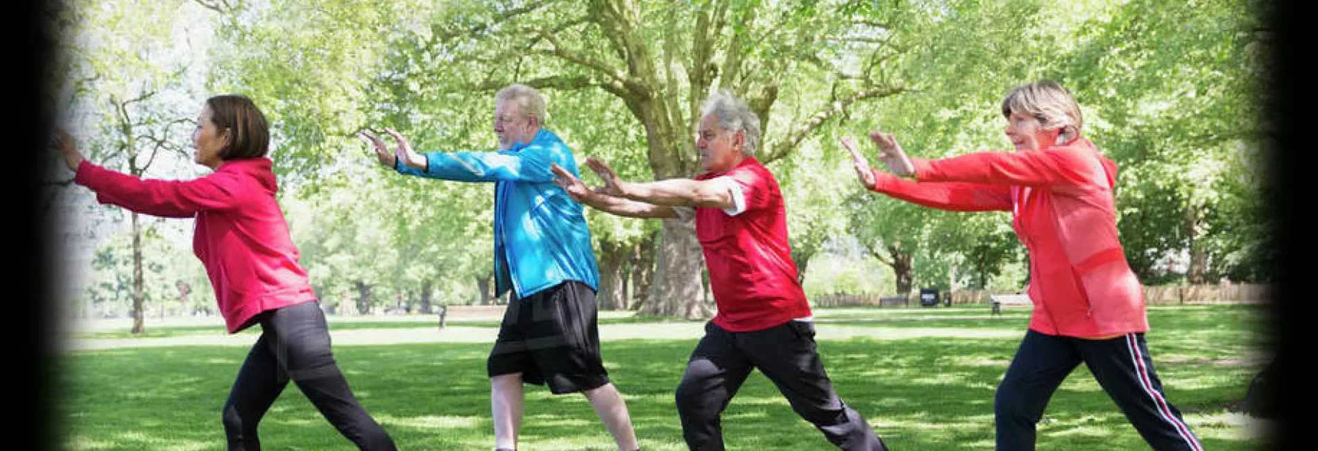 CONTINUING BEGINNING TAI CHI